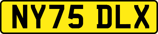 NY75DLX