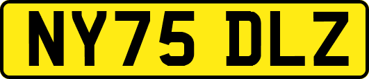 NY75DLZ