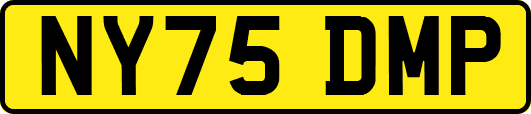 NY75DMP