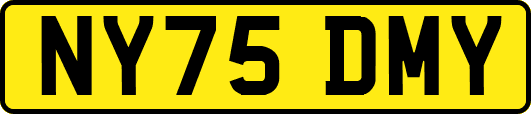 NY75DMY