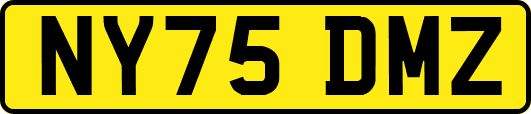 NY75DMZ