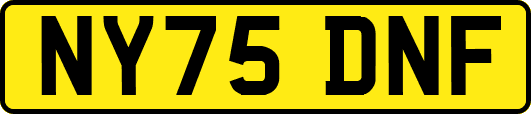 NY75DNF