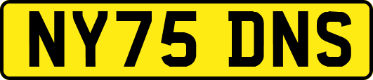 NY75DNS