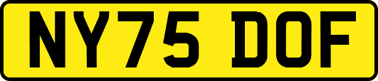 NY75DOF