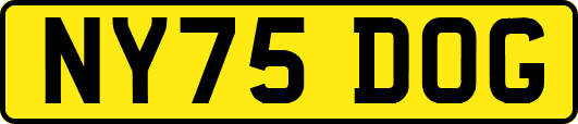 NY75DOG