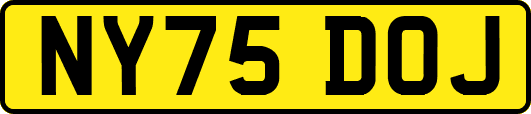 NY75DOJ