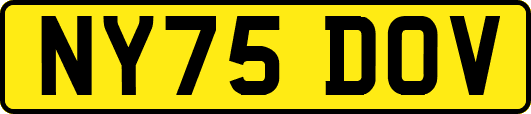 NY75DOV