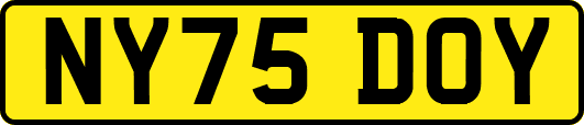 NY75DOY