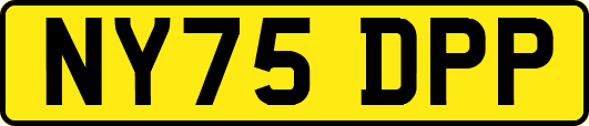 NY75DPP