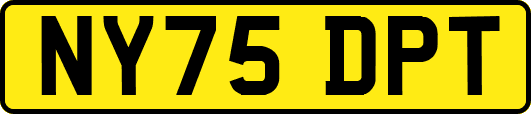 NY75DPT