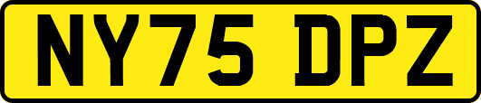NY75DPZ