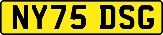 NY75DSG