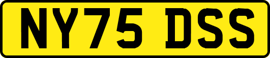 NY75DSS