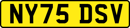 NY75DSV