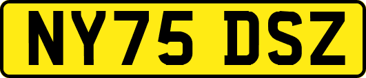 NY75DSZ
