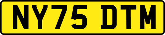 NY75DTM