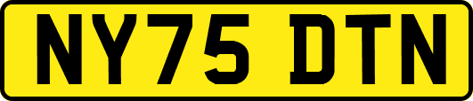 NY75DTN