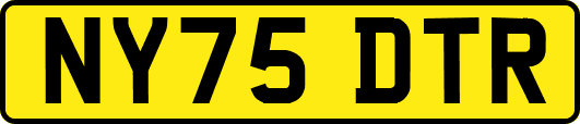 NY75DTR