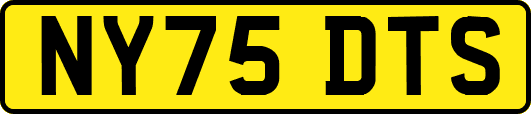 NY75DTS