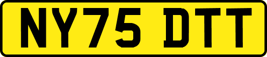 NY75DTT
