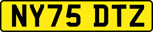NY75DTZ