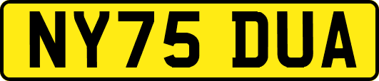 NY75DUA