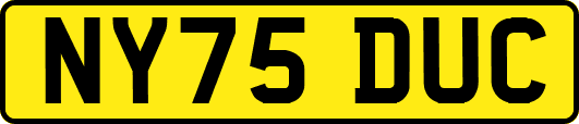 NY75DUC