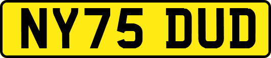 NY75DUD