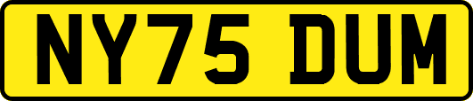 NY75DUM