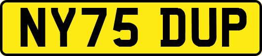 NY75DUP