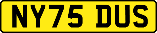 NY75DUS
