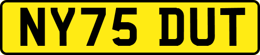 NY75DUT