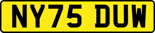 NY75DUW