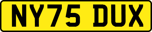 NY75DUX