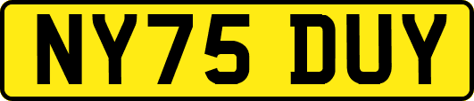 NY75DUY