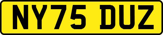 NY75DUZ