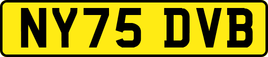 NY75DVB