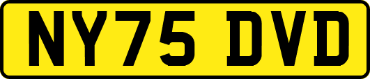 NY75DVD
