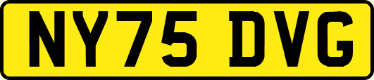 NY75DVG