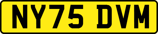 NY75DVM