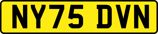 NY75DVN