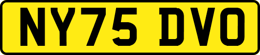 NY75DVO