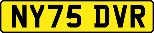 NY75DVR