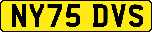 NY75DVS