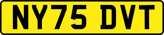NY75DVT