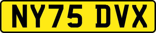 NY75DVX