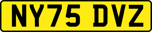 NY75DVZ