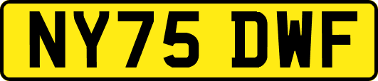 NY75DWF