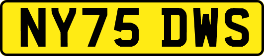 NY75DWS