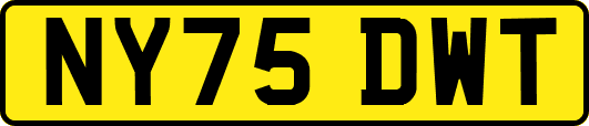 NY75DWT